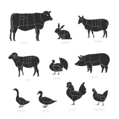 Butcher diagram of cutting meat. Set of vector signs on white background. Ready for use in design.	