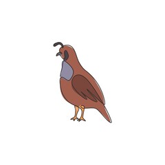 One single line drawing of adorable California valley quail for poultry logo identity. Dust bath bird mascot concept for national zoo icon. Modern continuous line draw design vector illustration