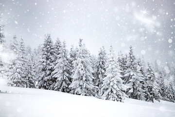 Obraz premium magic winter landscape with snowy fir trees
