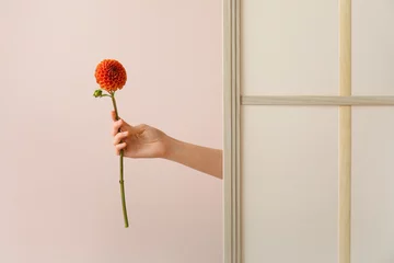 Foto op Plexiglas Female hand with beautiful dahlia flower against color wall © Pixel-Shot