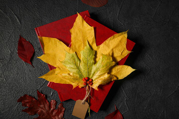 Beautiful autumn composition with books and leaves on black background