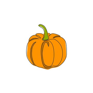 One continuous line drawing of whole round healthy organic pumpkin for orchard logo identity. Fresh autumn fruitage concept for fruit garden icon. Modern single line draw design vector illustration