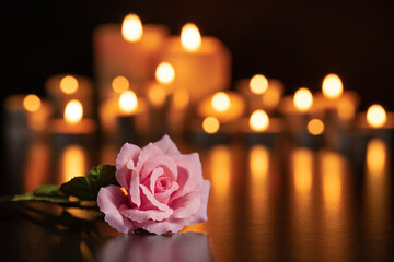 PINK ROSE AND LIGHTED CANDLES AT A FUNERAL. DEEPEST SYMPATHY. CONDOLENCE CARD. ALL SOULS DAY.