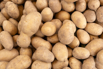 Heap of white potatoes, top view Raw Food background