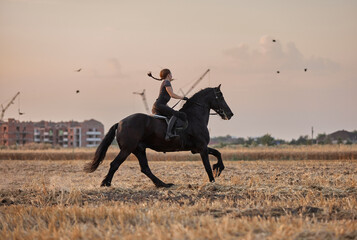 Girl riding a friesian horse in a field at sunset