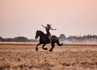 Girl riding a friesian horse in a field at sunset