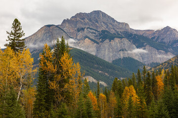 Mountain scenery in Banff National Parks Alberta Canada. Autumn landscape of a mountains and forest.
