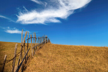 A stunning autumn landscape divided horizon between beautiful blue sky and tall dry grass with old wooden fence on left side.