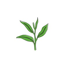 One continuous line drawing of whole healthy organic tea leaf for herbal drink logo identity. Fresh nature concept for tea plantation icon. Modern single line draw design vector graphic illustration