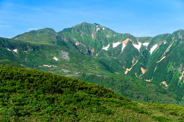 Obraz premium 富良野岳