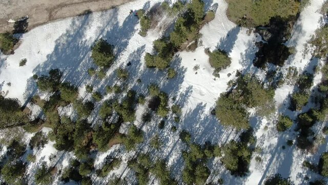Winter Forest Aerial Shot Bird's Eye View Snow San Bernardino Mountains Descend California USA