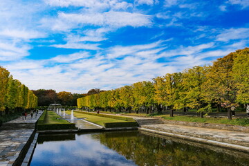Fototapeta premium 昭和記念公園の秋 黄葉のいちょう並木