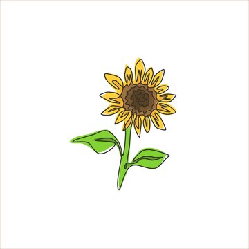 Single continuous line drawing of beauty fresh sunflower for park logo. Decorative helianthus spring flower concept for wall home decor poster art. Modern one line draw design vector illustration