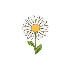 One continuous line drawing of beauty fresh bellis perennis for wall decor art poster. Printable decorative daisy flower concept for fabric textile. Modern single line draw design vector illustration