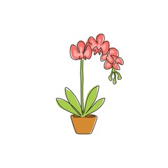 Single continuous line drawing of beauty fresh gladiolus for home decor poster. Printable decorative sword gladius flower concept for greeting card ornament. One line draw design vector illustration