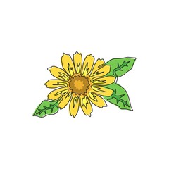 Fototapeta premium Single continuous line drawing of beauty fresh marigold for home wall decor poster. Printable decorative calendula flower for wedding card invitation. Modern one line draw design vector illustration