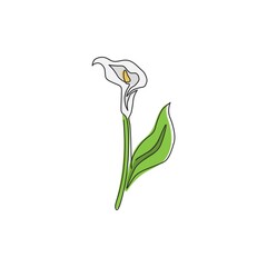 Single continuous line drawing of beauty fresh zantedeschia for home wall decor print. Printable decorative arum lily flower for greeting card ornament. Trendy one line draw design vector illustration