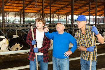 Senior milk farm owner talking with workers and pointing with finger on something in front of them.