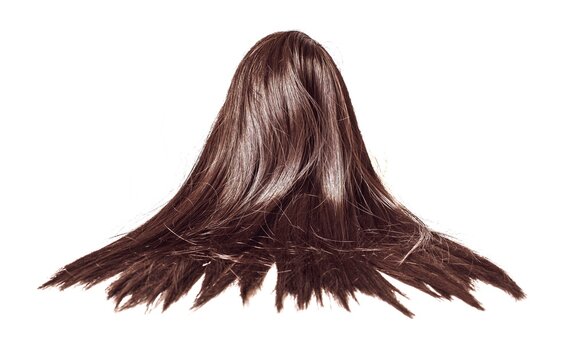 recommend clip art: Brown wig close-up back view on a beautiful white background.