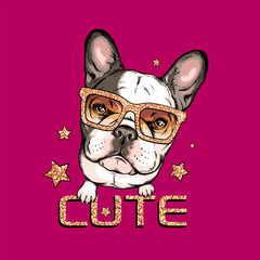 Cute french bulldog portrait. Dog in shiny sunglasses. Vector illustration. Stylish image for printing on any surface	
