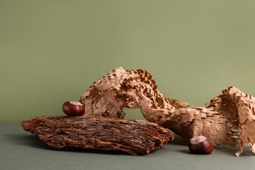 Natural background podium for cosmetic products created from wood, bark and paper on green background.Creative modern still life