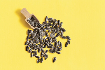 Scattered Black sunflower seeds and  small wooden scoop. Harvest time agriculture farming. Healthy oils, food.