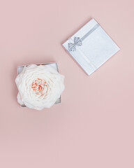 Minimal flat lay with pastel pink rose flower and silver gift box. Holiday backgrond with copy space