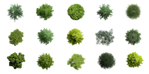 Collection of 3D Top view Green Trees Isolated on white background , Use for visualization in architectural design or garden decorate