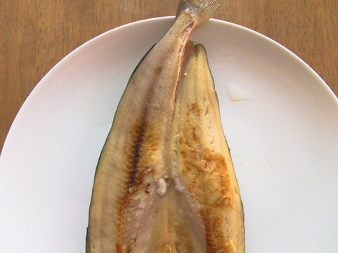 137 件の最適な アニサキス 画像 ストック写真 ベクター Adobe Stock