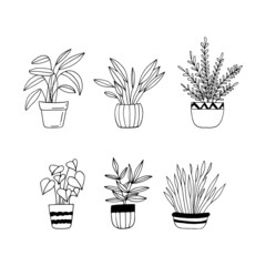 houseplants in pots set icon hand drawn. vector, minimalism, scandinavian, monochrome, nordic. sticker, plant, flowers.