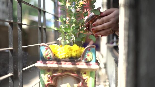 women doing tulsi water offering and flowers poojan Diwali festival ritual in morning Kalash thali hand