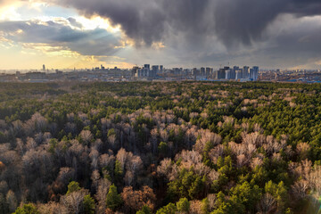 Autumn forest at sunset and city on horizon, auerial view. Dramatic sky