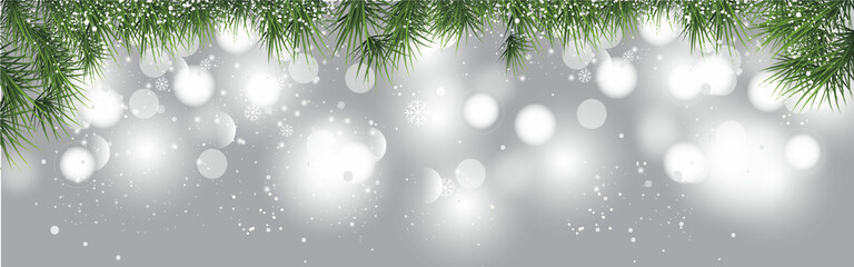 Fototapeta na wymiar Fir branches on transparent background. Decorative christmas pattern or frame. Seamless vector illustration.