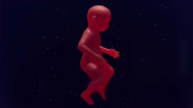 Rotating baby with glowing transparent skin. Rising bubbles. Genetically engineered child. Human cloning. 3d animation render subsurface scattering effect