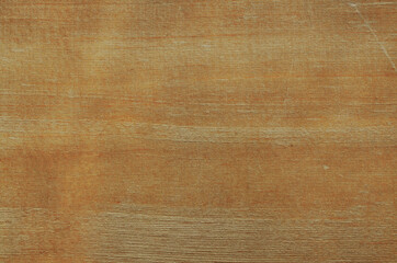 Gently textured wood planks background. Wood texture backdrop.