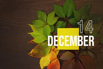December 14th. Day 14 of month, Calendar date. Autumn leaves transition from green to red with calendar day on yellow square, wooden background. Winter month, day of the year concept.