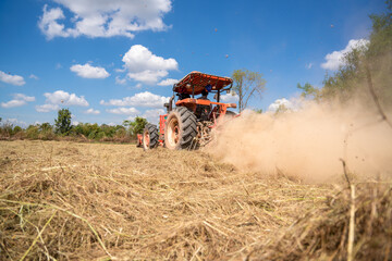 Obraz premium Agriculture tractor with mower the pangola grass at a commercial turf growing farm, animal feed