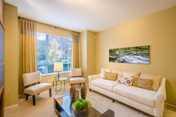 Interior design of a luxury living room