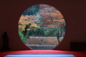 借景。丸窓の向こうに見える秋の庭。