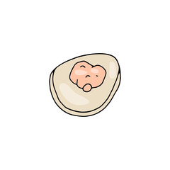 Meat or vegetable filling lies on circle of raw dough for making dumplings