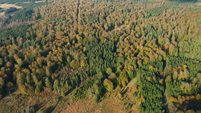 Rich Biodiversity Of Fagne du Rouge Ponc&eacute; Nature Reserve in Saint Hubert, Belgium - aerial shot