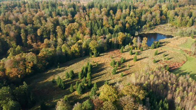 Scenic View On Colorful Autumn Trees And Pond In Fagne du Rouge Ponc&eacute;, Belgium - aerial drone shot