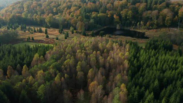 Scenic Landscape With Pond And Colorful Autumn Trees In Fagne du Rouge Ponc&eacute;, Belgium - aerial drone shot