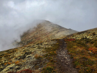 landscape in the morning