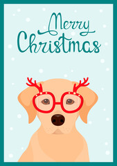 A Christmas card with a labrador. Cute cartoon-style dog.
