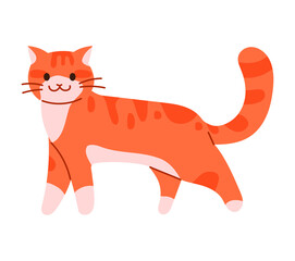 A cute cat with yellow fur is walking. Cat vector illustration.