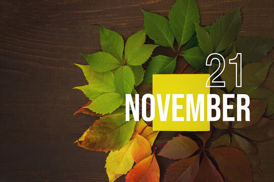 November 21st . Day 21 of month, Calendar date. Autumn leaves transition from green to red with calendar day on yellow square, wooden background. Autumn month, day of the year concept.