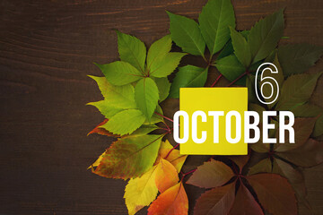 October 6th. Day 6 of month, Calendar date. Autumn leaves transition from green to red with...