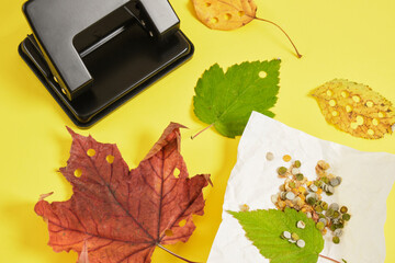 hole punch and autumn leaves on a yellow background, eco confetti from natural materials