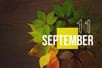 September 11st . Day 11 of month, Calendar date. Autumn leaves transition from green to red with...